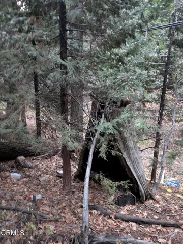 Fleming Creek 3