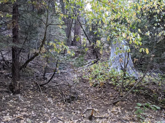 Fleming Creek 1