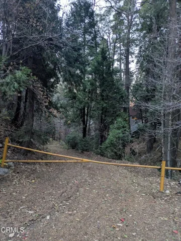 Fleming Creek 10