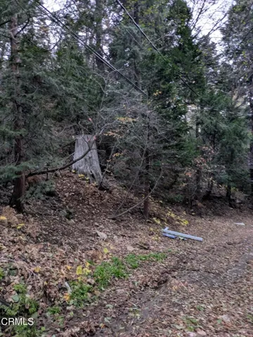 Fleming Creek 4