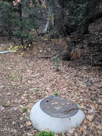 Fleming Creek 5