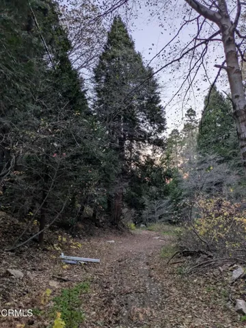 Fleming Creek 9