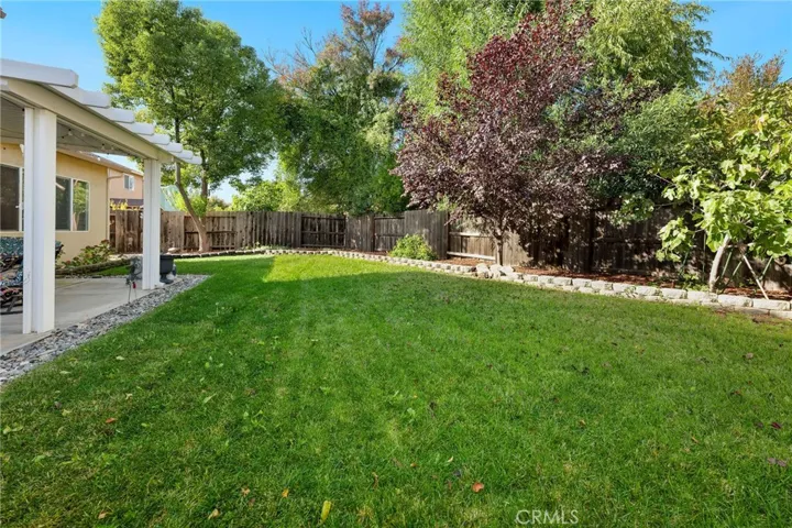 spacious landscaped yard