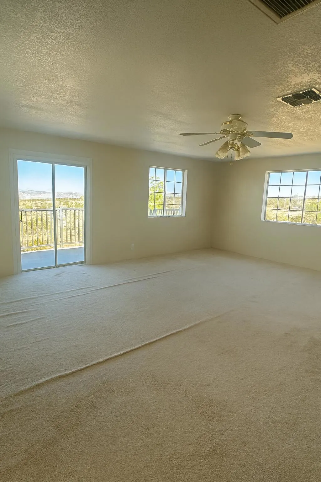 50928 Bell Road, Johnson Valley, California 92285 home-pic-11