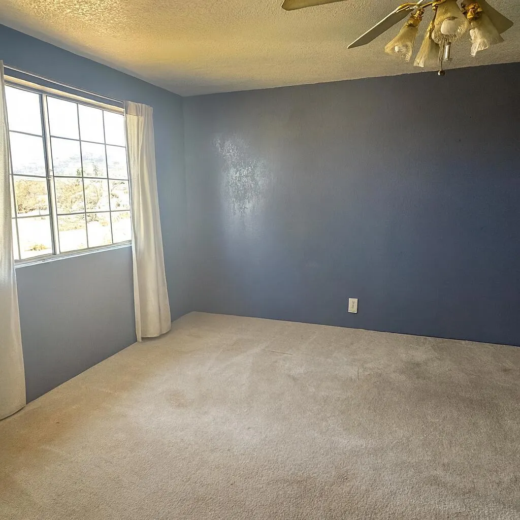 50928 Bell Road, Johnson Valley, California 92285 home-pic-17