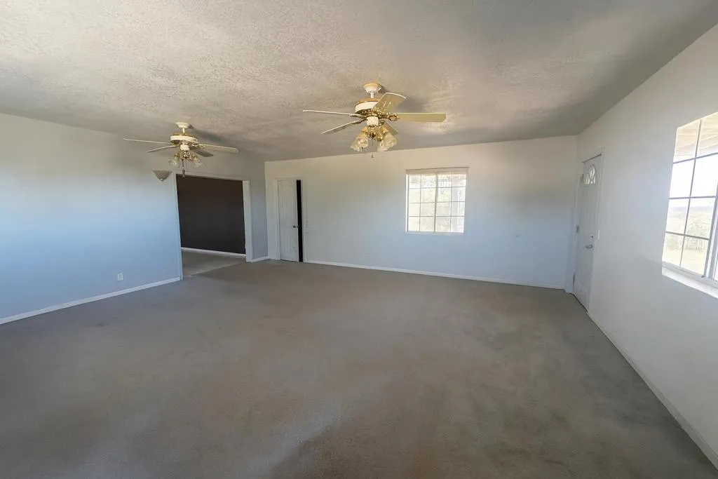 50928 Bell Road, Johnson Valley, California 92285 home-pic-8