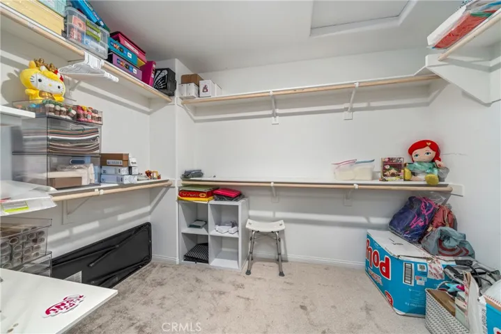 Walk-in closet #2