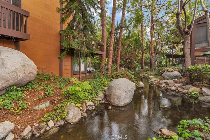 Community Creek