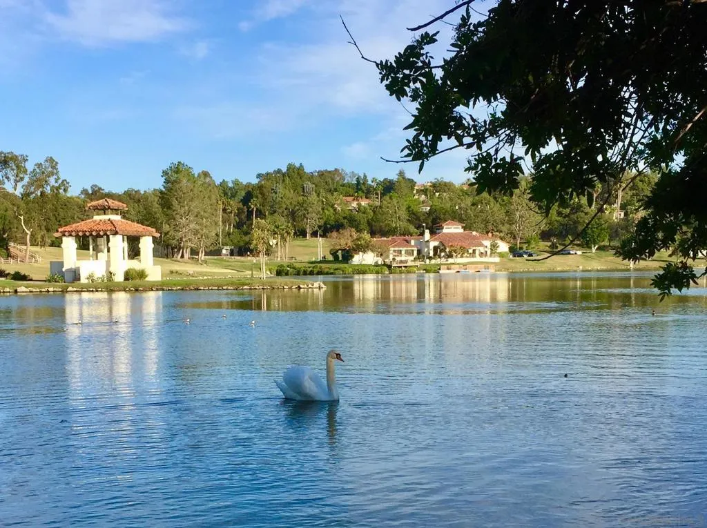 17177 Calle Serena, Rancho Santa Fe, California 92067 home-pic-24