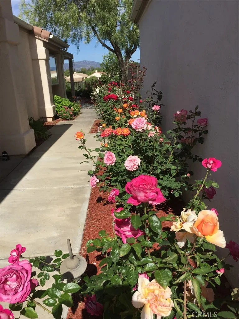 40083 Corte Lorca, Murrieta, California 92562 home-pic-50
