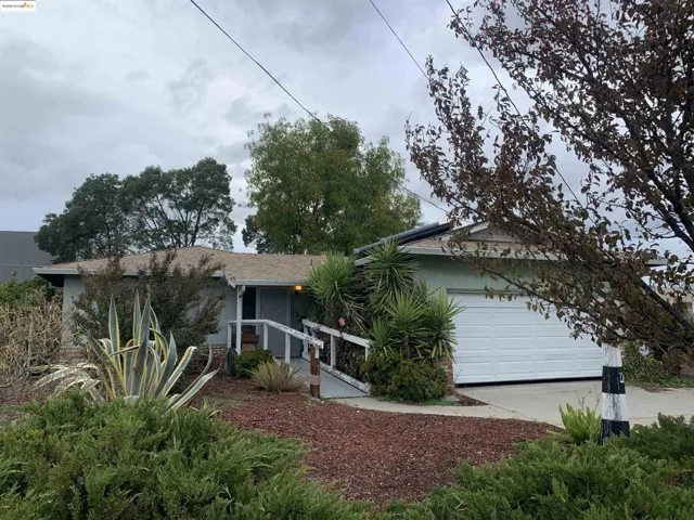 View of property hidden behind natural elements with driveway, an attached garage, and stucco siding