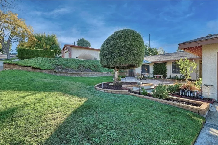 Huge Front yard!