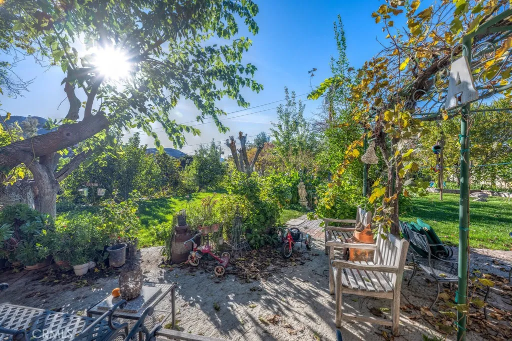 view from backyard patio