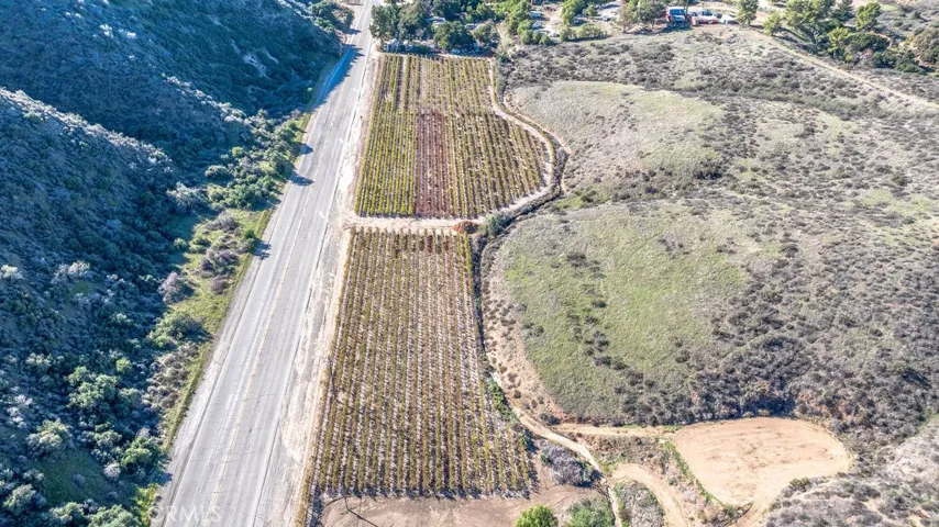 Approximately 20 acres Land ADJACENT to motel planted in grapes