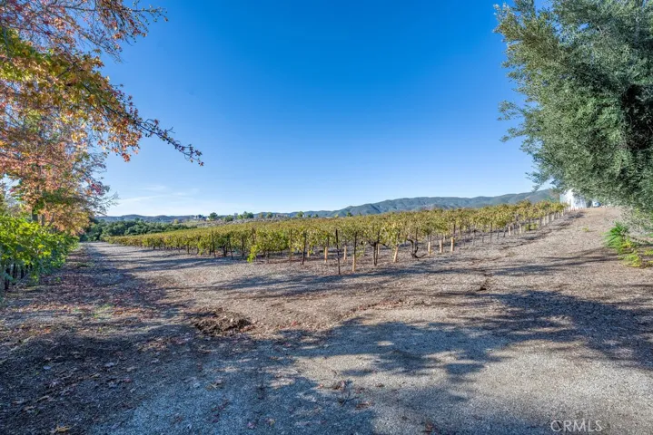 approximately 5 acres adjacent to house also included with the portfolio sale