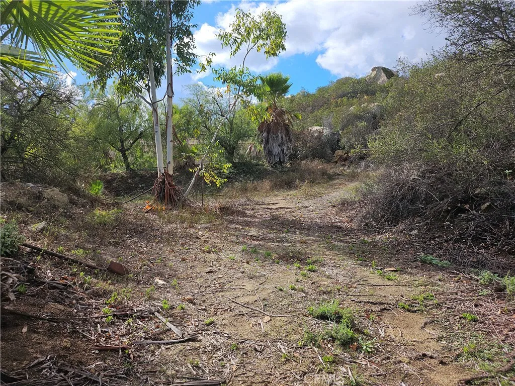 Photos have been enhanced with Ai to remove foreign objects.