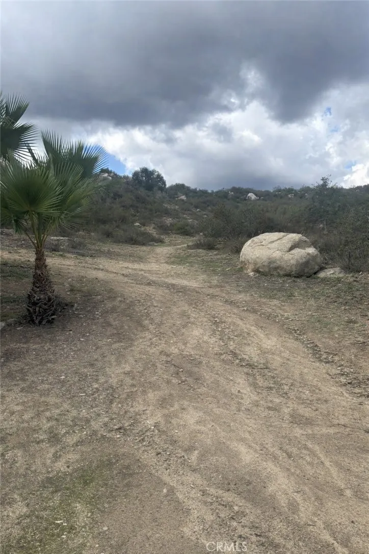 Photos have been enhanced with Ai to remove foreign objects.