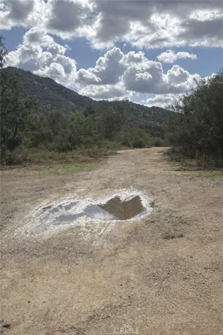 Photos have been enhanced with Ai to remove foreign objects.