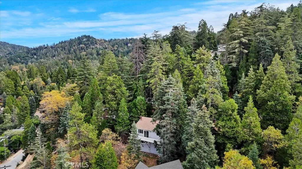 24646 Lake Gregory, Crestline, California 92325 home-pic-31