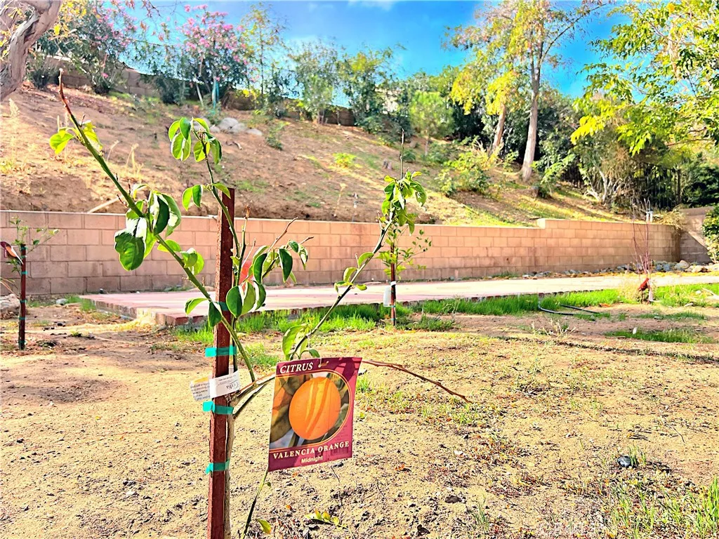 4544 Sungate Drive N, Palmdale, California 93551 home-pic-45