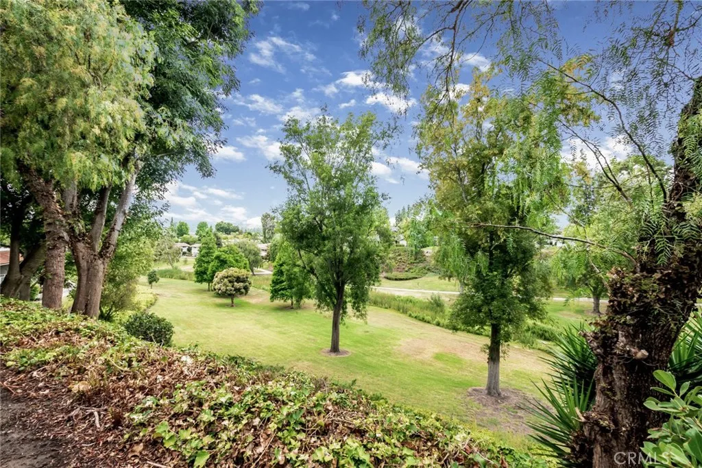 3437 Bahia Blanca W, Laguna Woods, California 92637 home-pic-36
