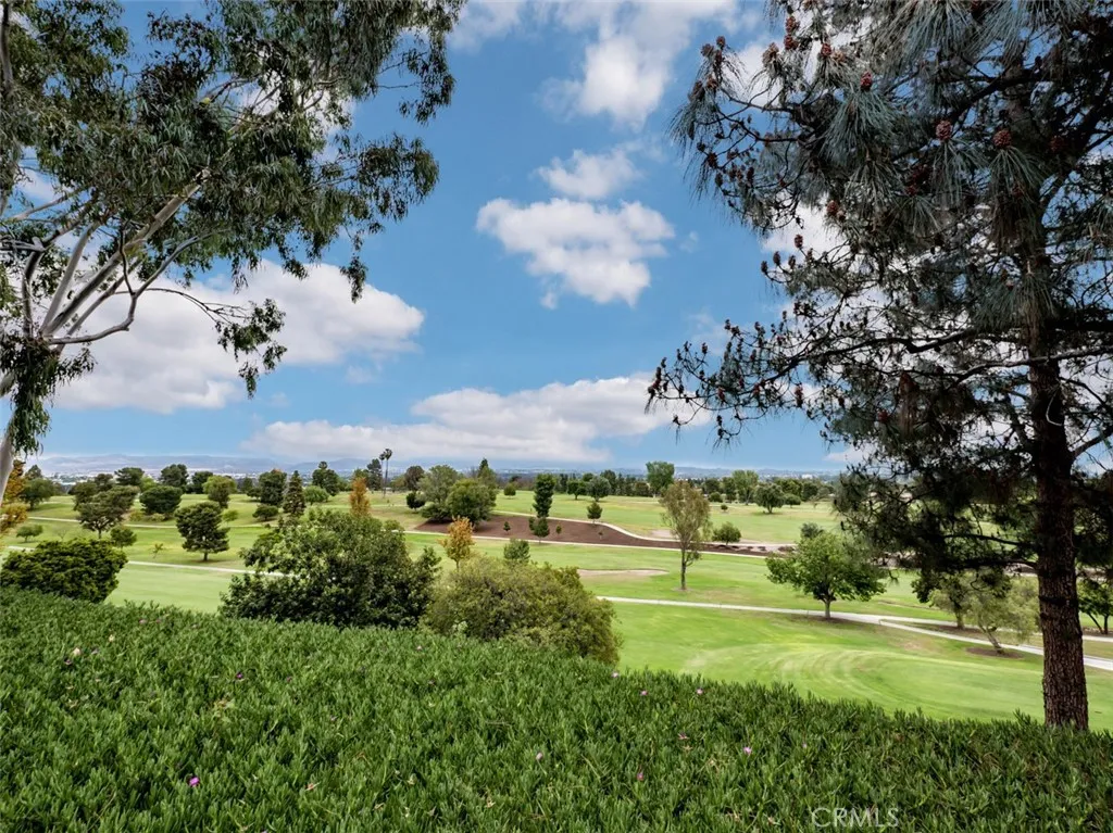 3437 Bahia Blanca W, Laguna Woods, California 92637 home-pic-43