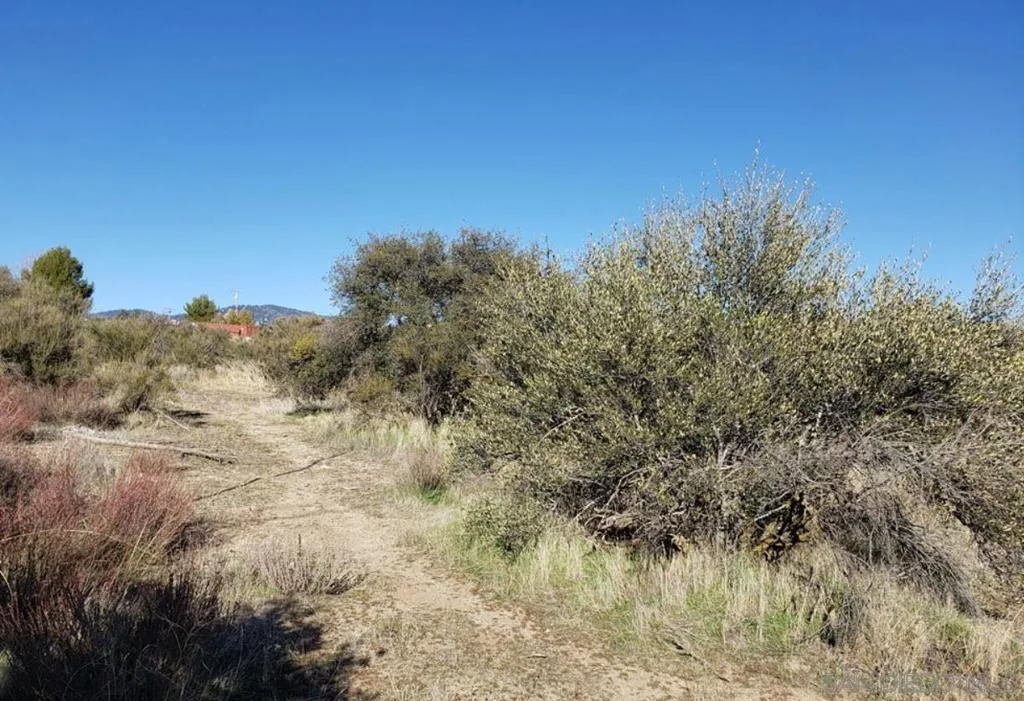 0, Anza, California 92539 — photo 4
