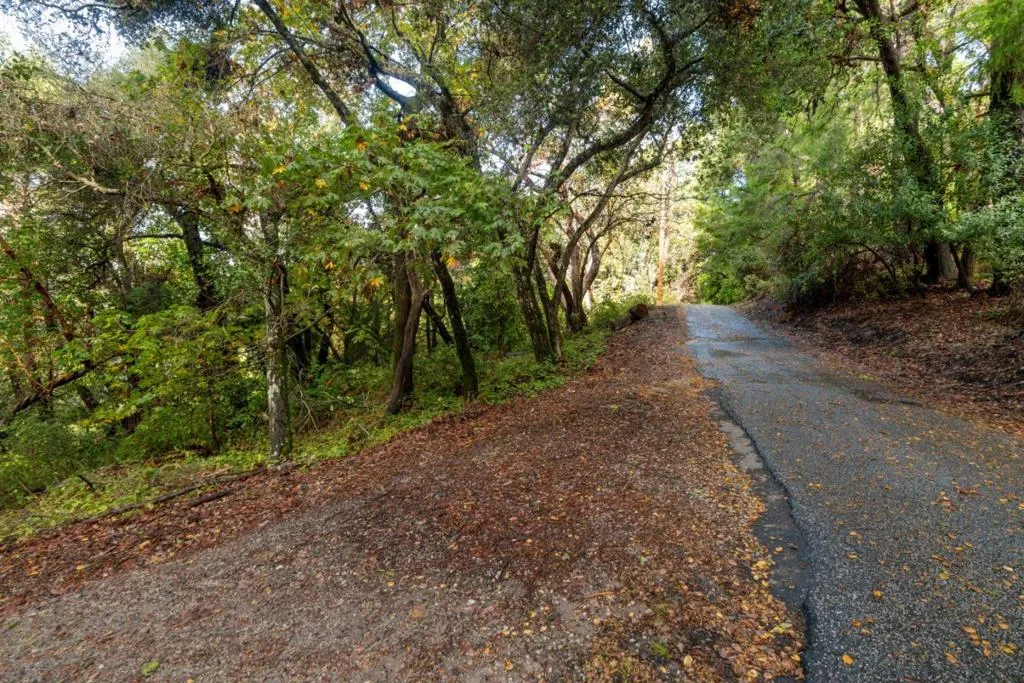 Lakeview Avenue, Felton, California 95018 — photo 5