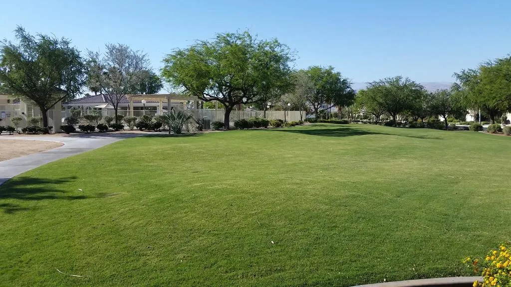 31310 Calle Cayuga, Cathedral City, California 92234 home-pic-27