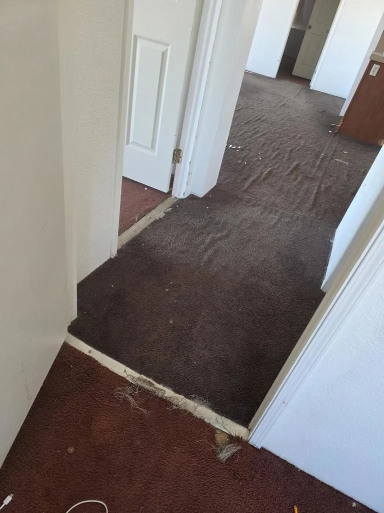 9572 Smith Road, Phelan, California 92371 home-pic-34
