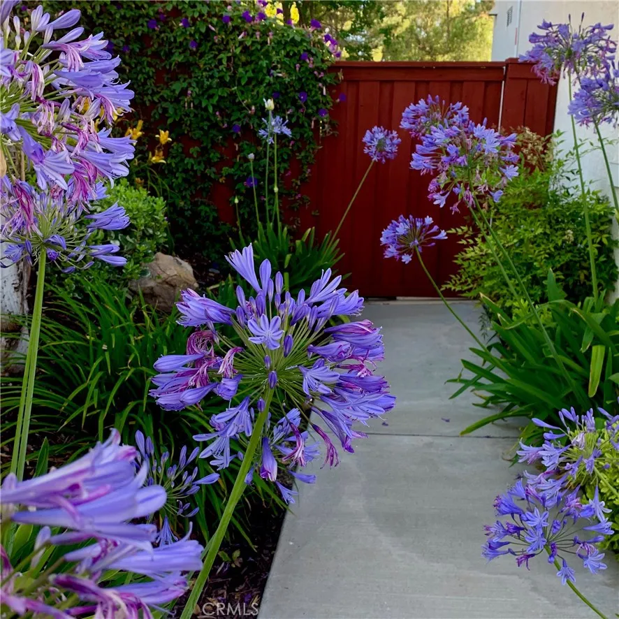 31710 Corte Esparza, Temecula, California 92592 home-pic-31