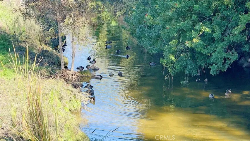 Aliso Creek Nearby