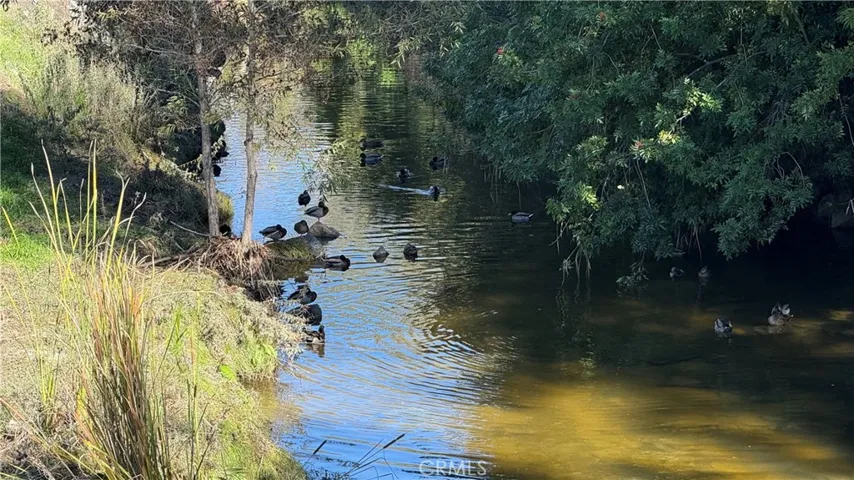Aliso Creek Nearby