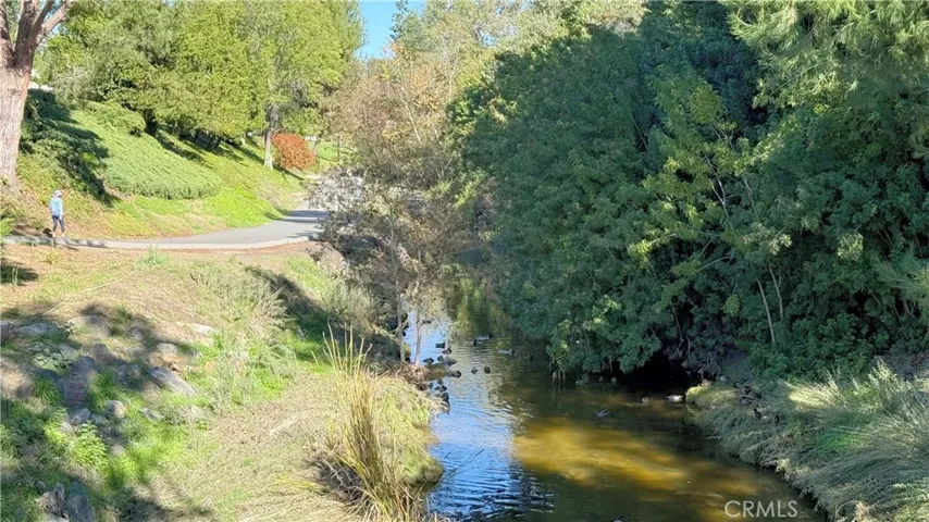 Aliso Creek Nearby