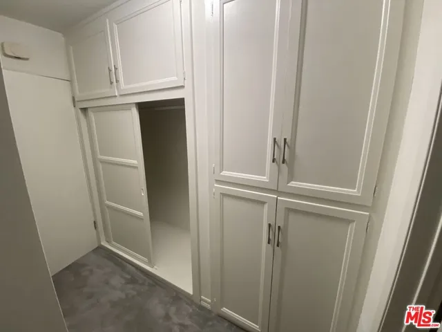 Ample Storage in Hallway