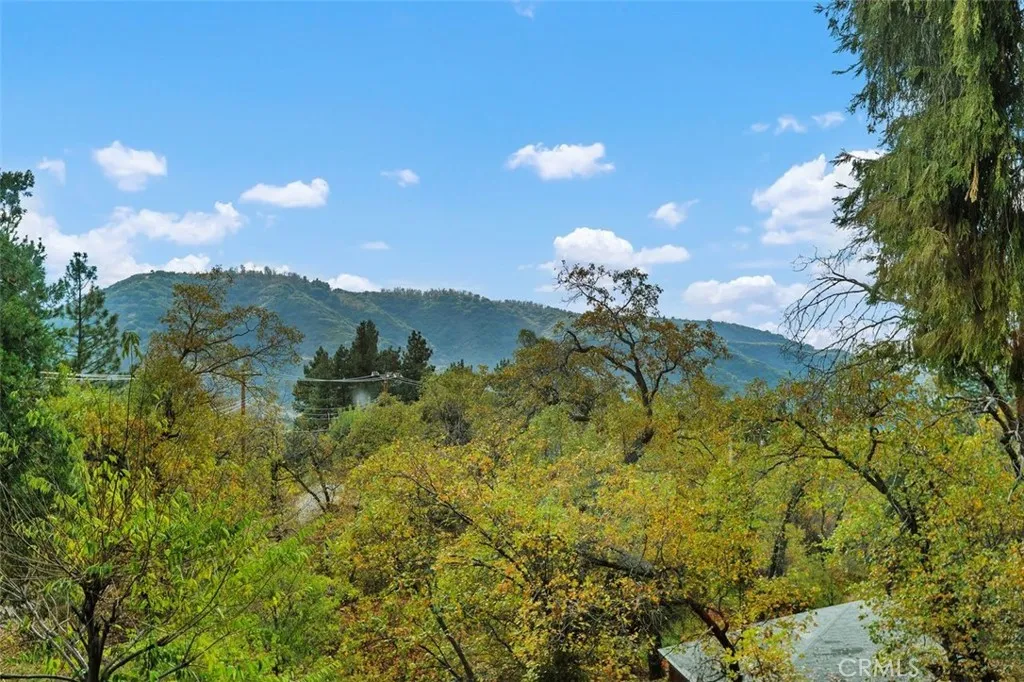 39566 Clearwater Drive, Oak Glen, California 92399 home-pic-32