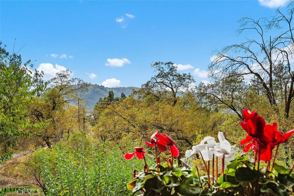 39566 Clearwater Drive, Oak Glen, California 92399 home-pic-8
