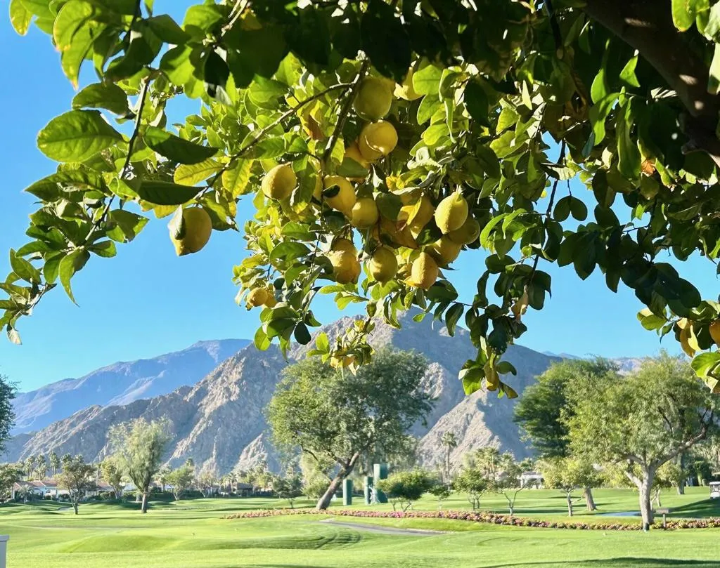 50623 Cereza, La Quinta, California 92253 home-pic-28