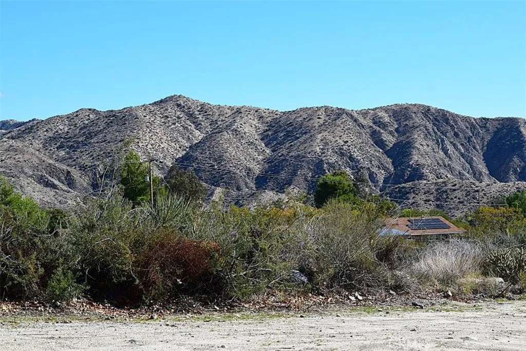 49618 Buena Vista Drive, Morongo Valley, California 92256 home-pic-17