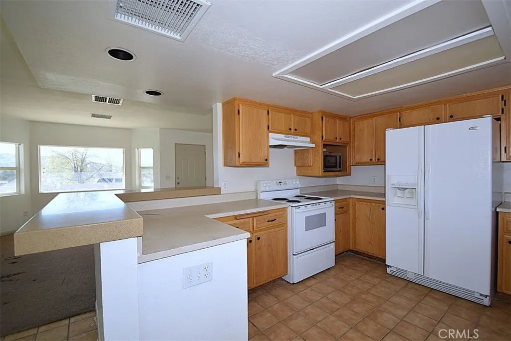 49618 Buena Vista Drive, Morongo Valley, California 92256 home-pic-8