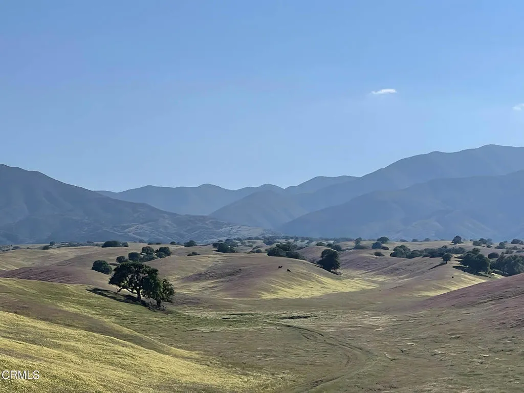 Flower Tapistry from Aliso Canyon