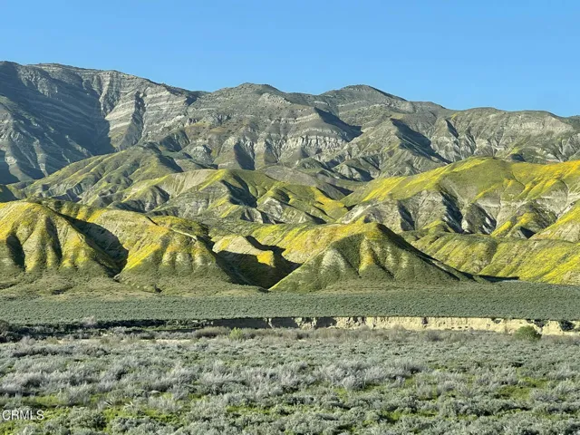 Caliente Spring Bloom from Hwy166
