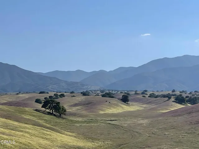 Flower Tapistry from Aliso Canyon