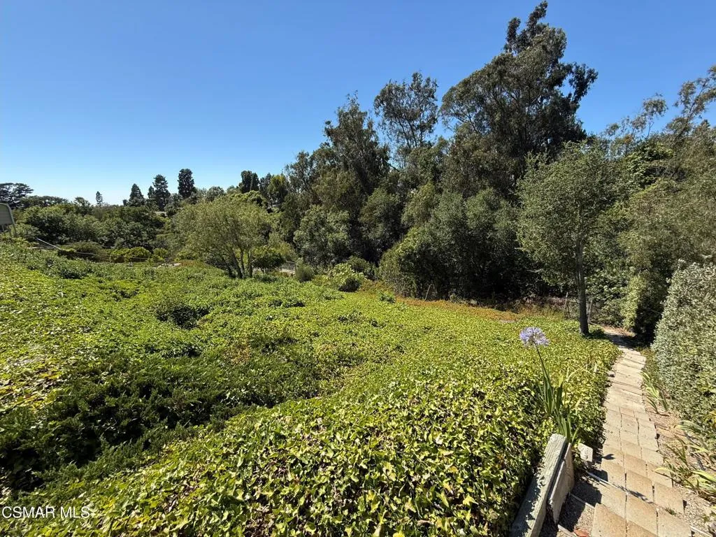 862 Camino Concordia, Camarillo, California 93010 home-pic-4