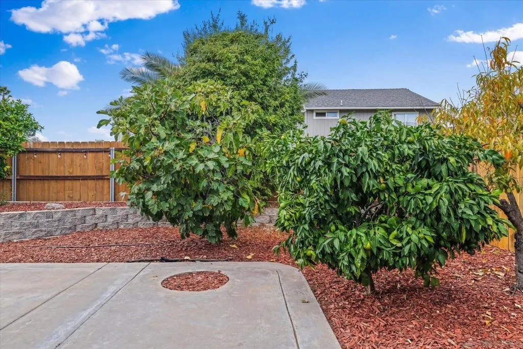 1341 Somerset Ct, Ramona, California 92065 home-pic-39