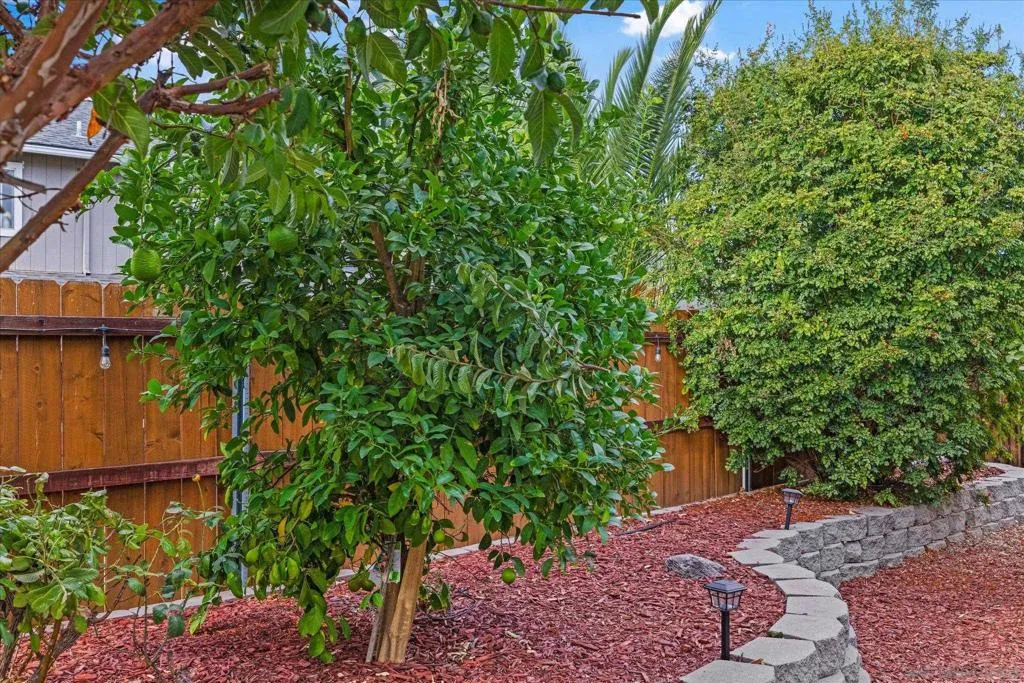 1341 Somerset Ct, Ramona, California 92065 home-pic-41