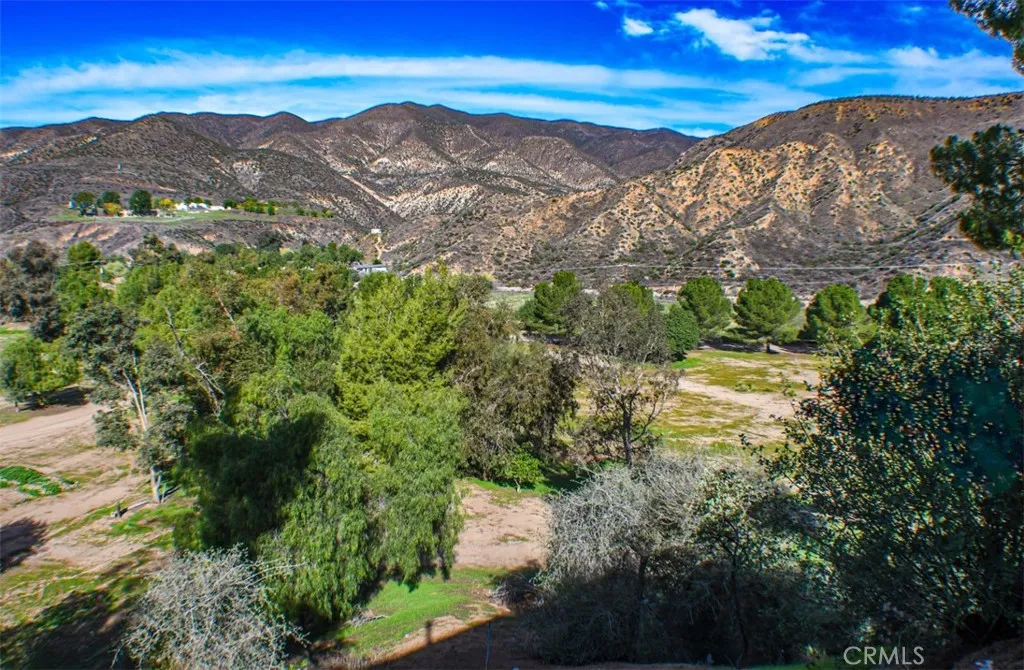 30344 Bouquet Canyon, Santa Clarita, California 91390 home-pic-11