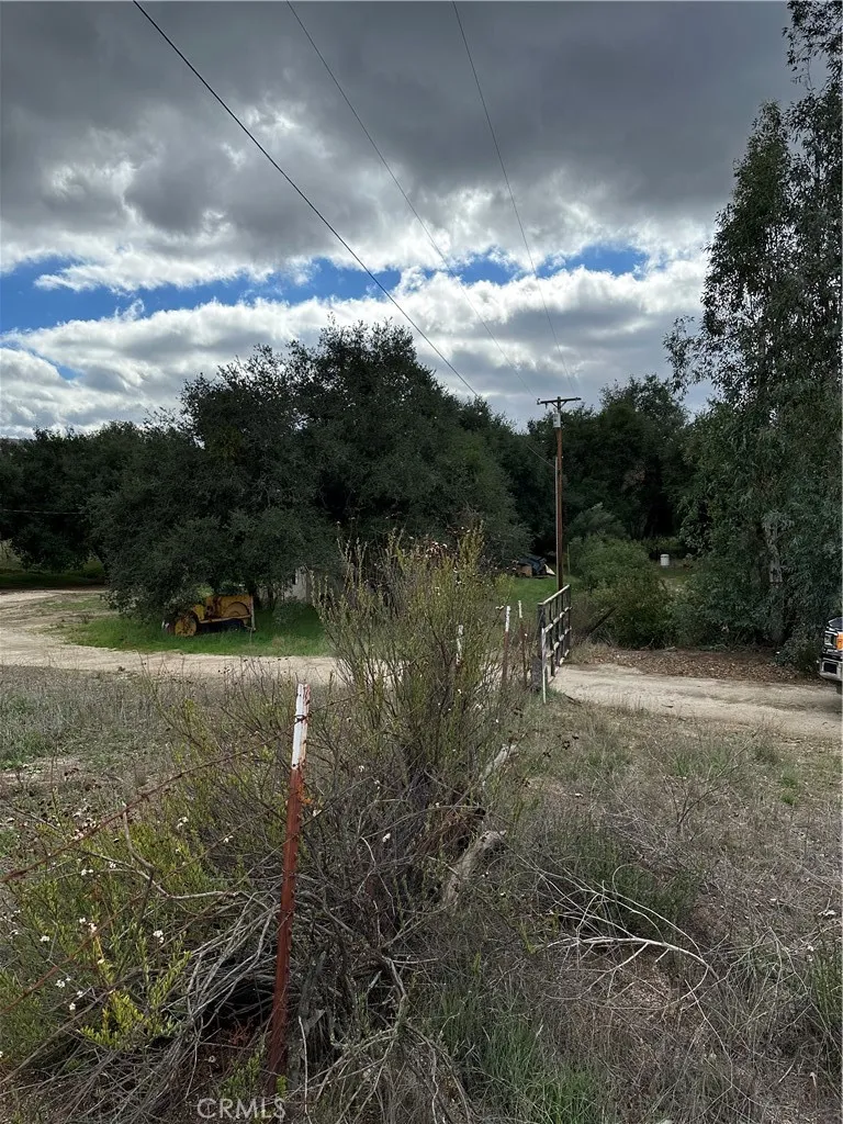 new of oaks on parcel.