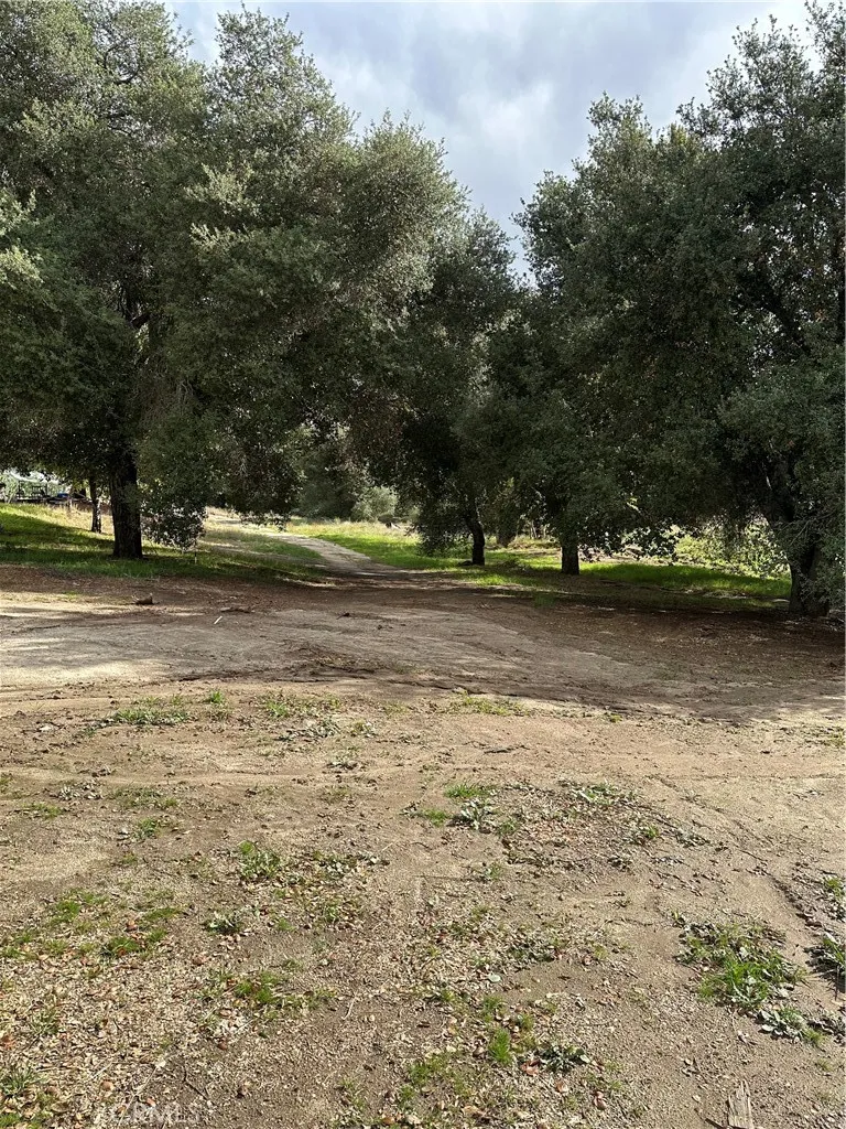 View of parcel.