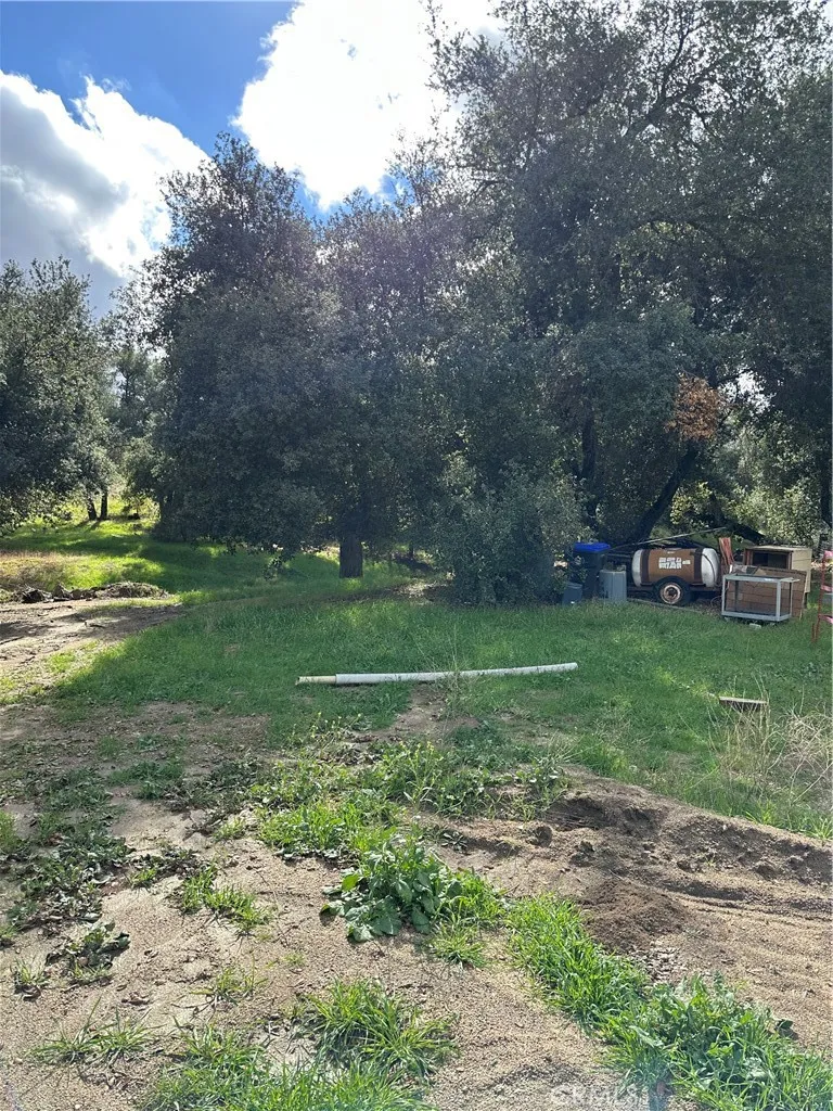 View of parcel.